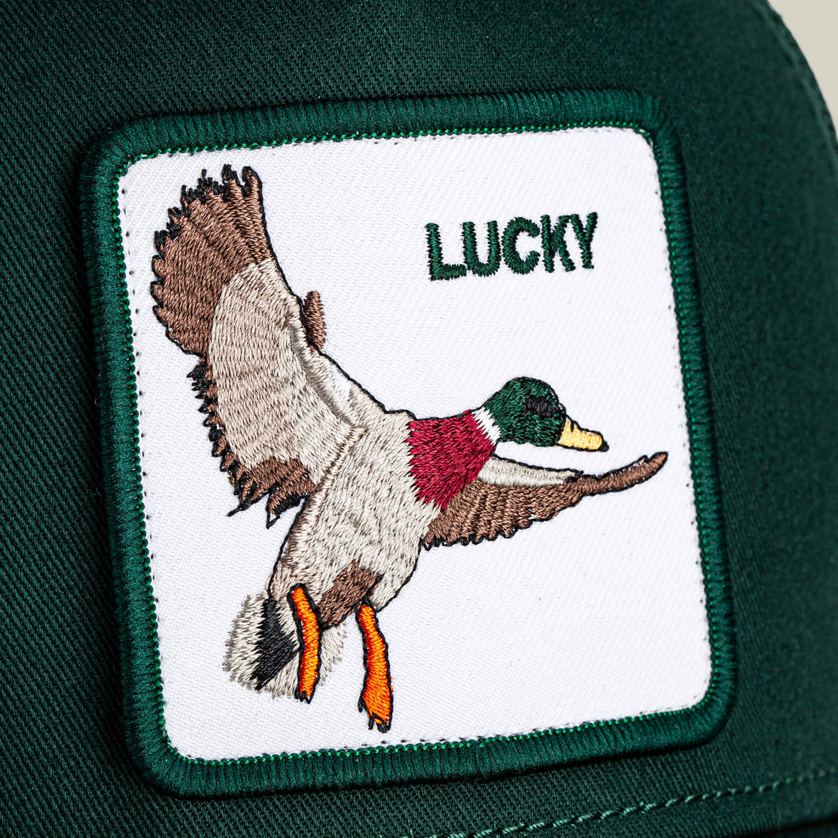 Goorin Bros. Trusted | The Lucky Duck GUARD