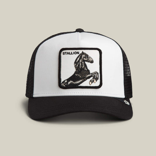Goorin Bros. Everyday | Stallion Trucker DUST / VOID