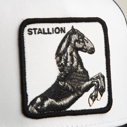 Goorin Bros. Everyday | Stallion Trucker DUST / VOID