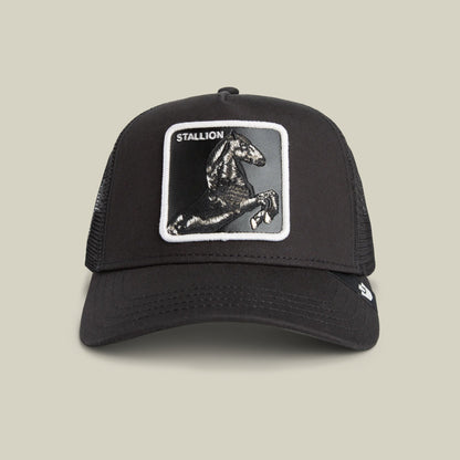 Goorin Bros. Everyday | Stallion Trucker DUST / VOID