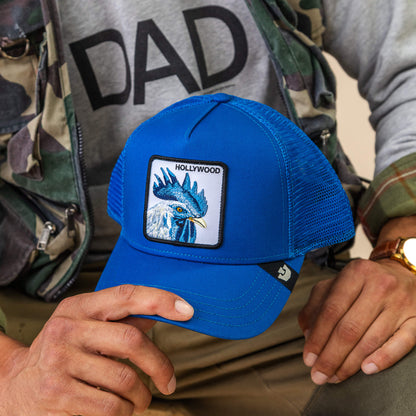 Goorin Bros. Trending | Hollywood Rooster ROYAL