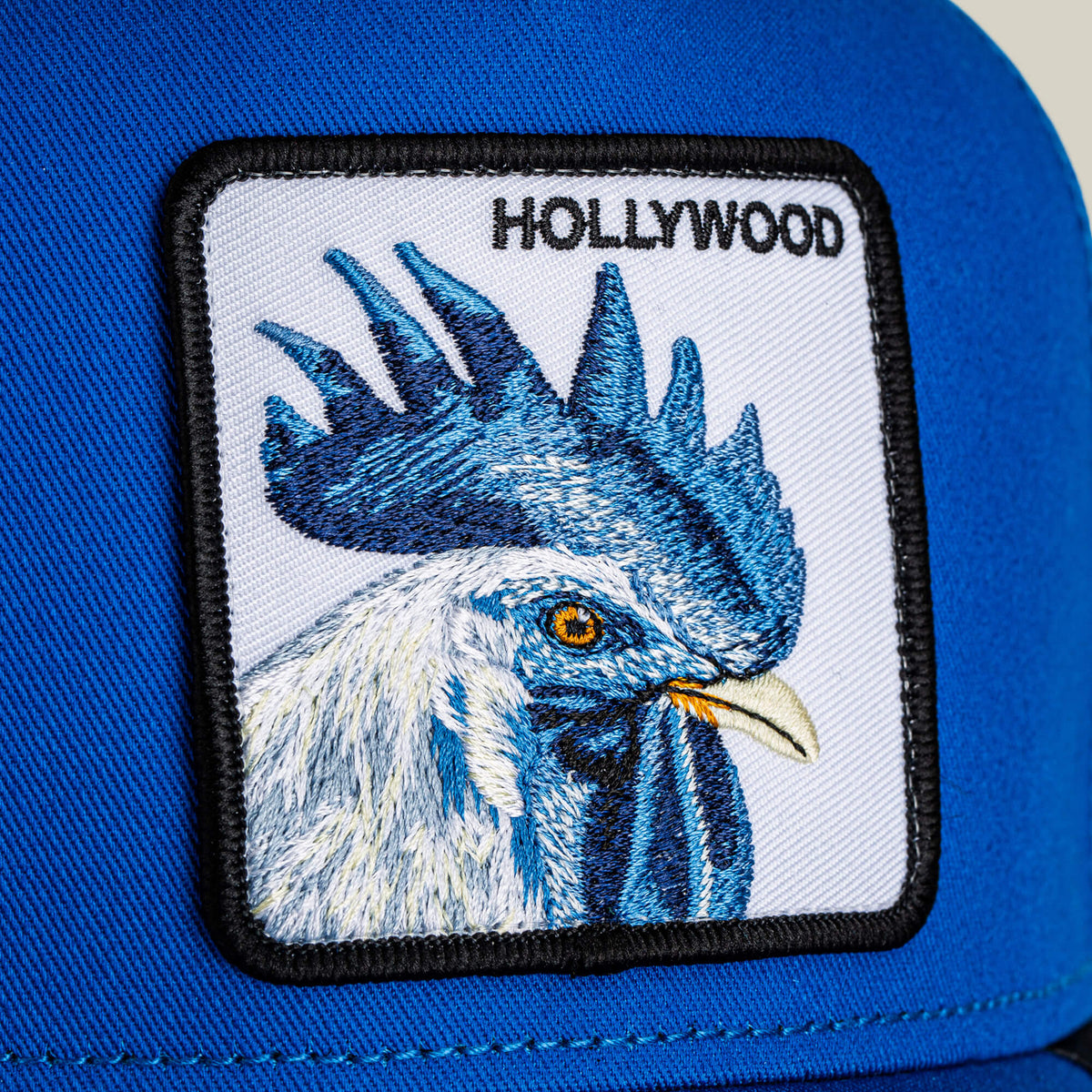 Goorin Bros. Trending | Hollywood Rooster ROYAL