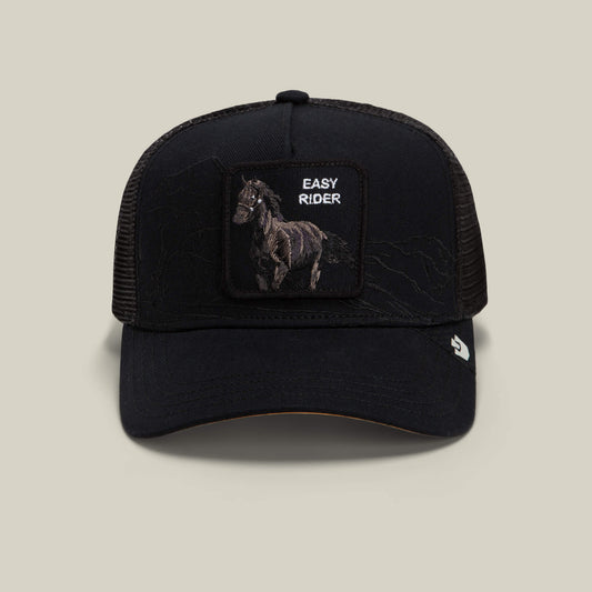 Goorin Bros. Best Seller | Badlands Stallion Void
