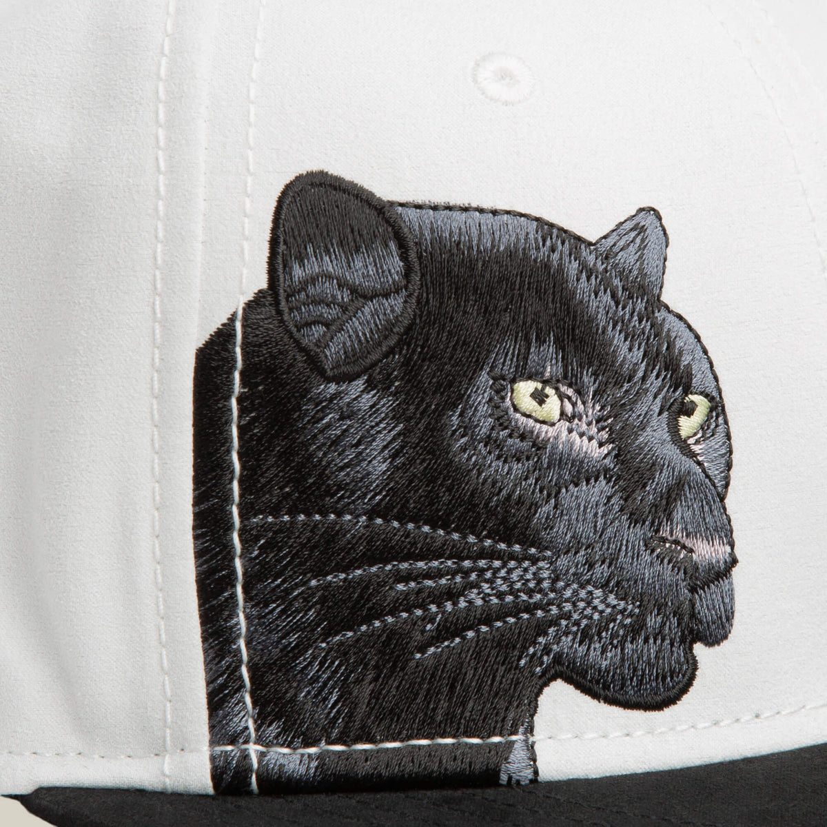 Goorin Bros. Premium | 6-Panel Panther Script DIGITAL