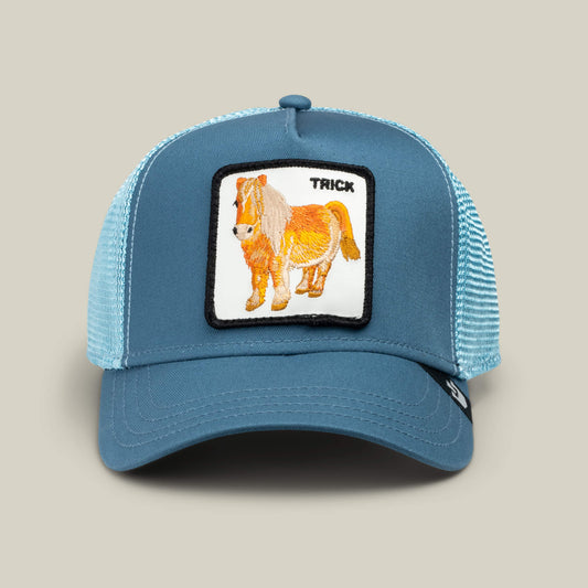 Goorin Bros. Best Price | Dad and Pony Show (Kids) Air Blue
