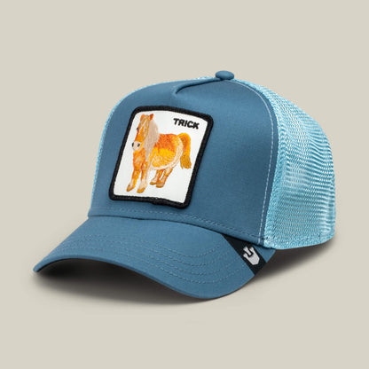 Goorin Bros. Best Price | Dad and Pony Show (Kids) Air Blue