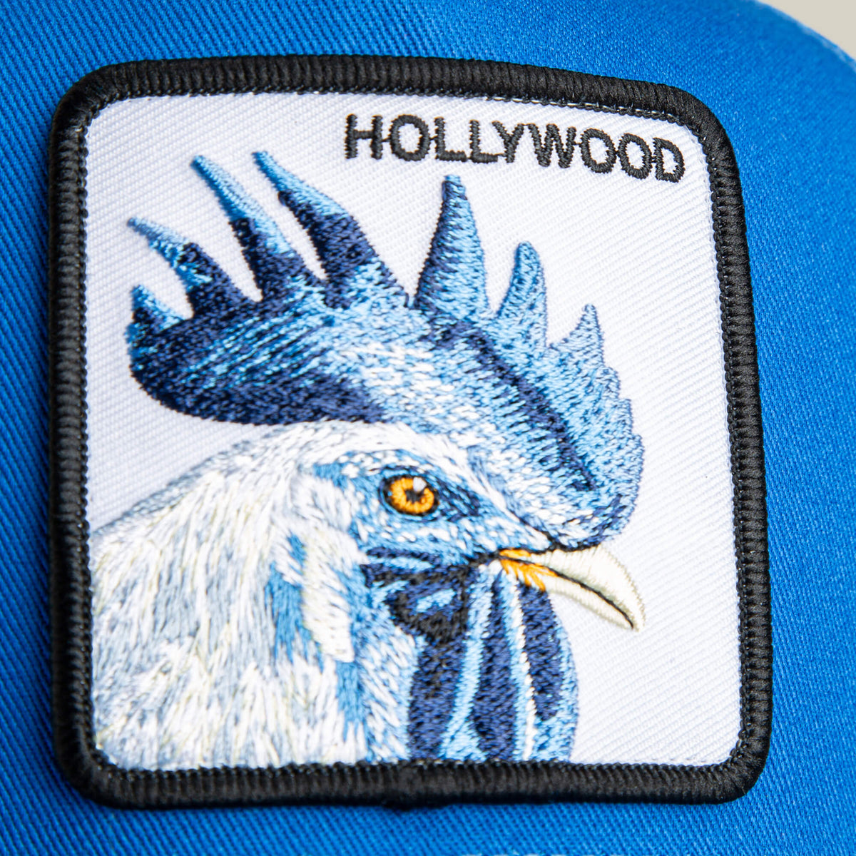 Goorin Bros. Recommended | Hollywood Rooster Mini ROYAL
