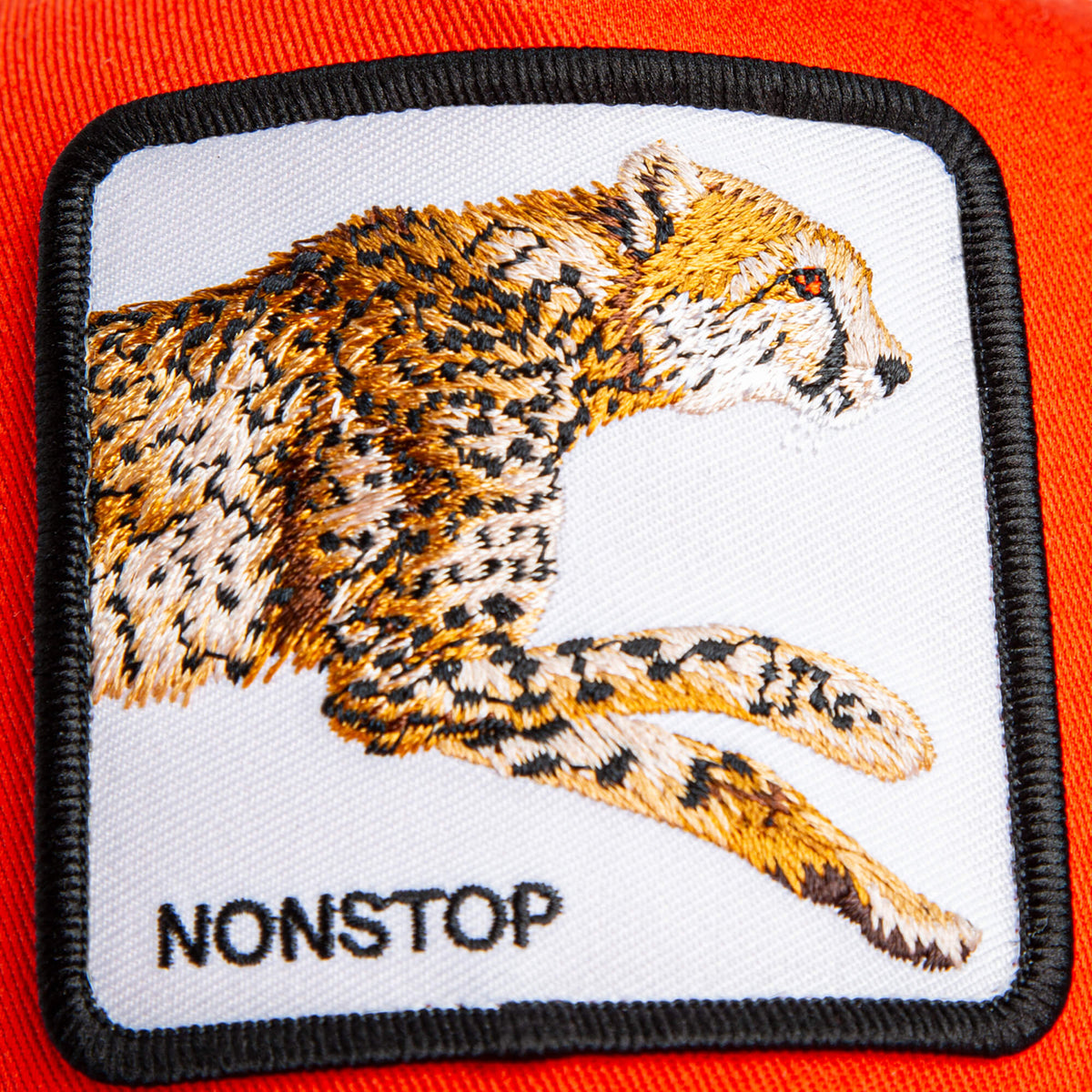 Goorin Bros. Trusted | The Nonstop Cheetah Mini Noir BLAZE