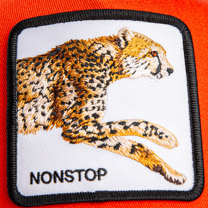 Goorin Bros. Trusted | The Nonstop Cheetah Mini Noir BLAZE