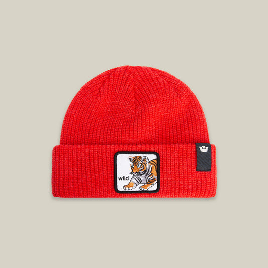 Goorin Bros. Top Pick | The Wild Beanie Mini RUSH