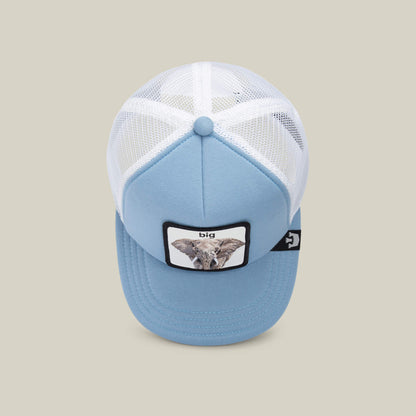 Goorin Bros. Hot Sale | So Big Light Blue