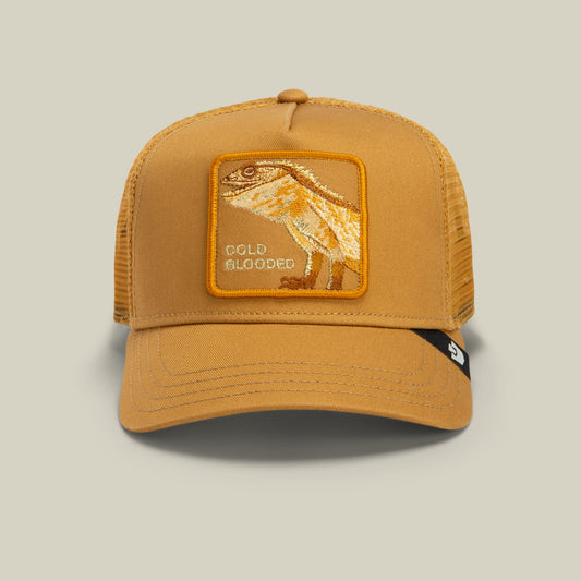 Goorin Bros. Best Price | Circle of Life - Cold Blooded Amber