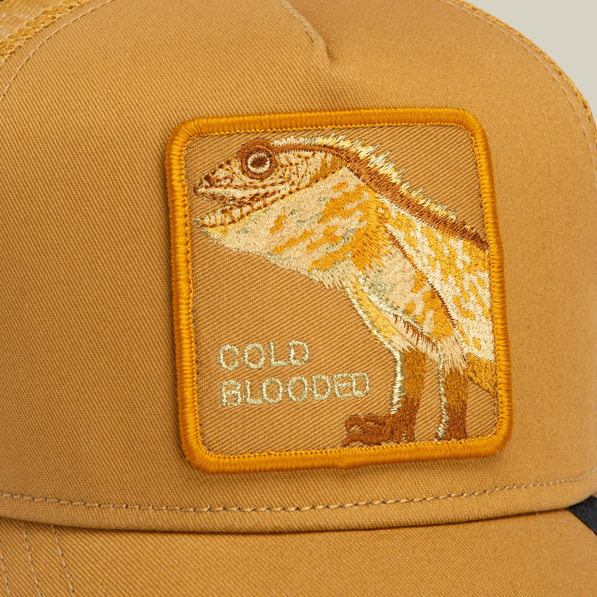 Goorin Bros. Best Price | Circle of Life - Cold Blooded Amber