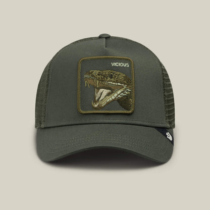 Goorin Bros. Top Pick | Circle of Life - Vicious Palm