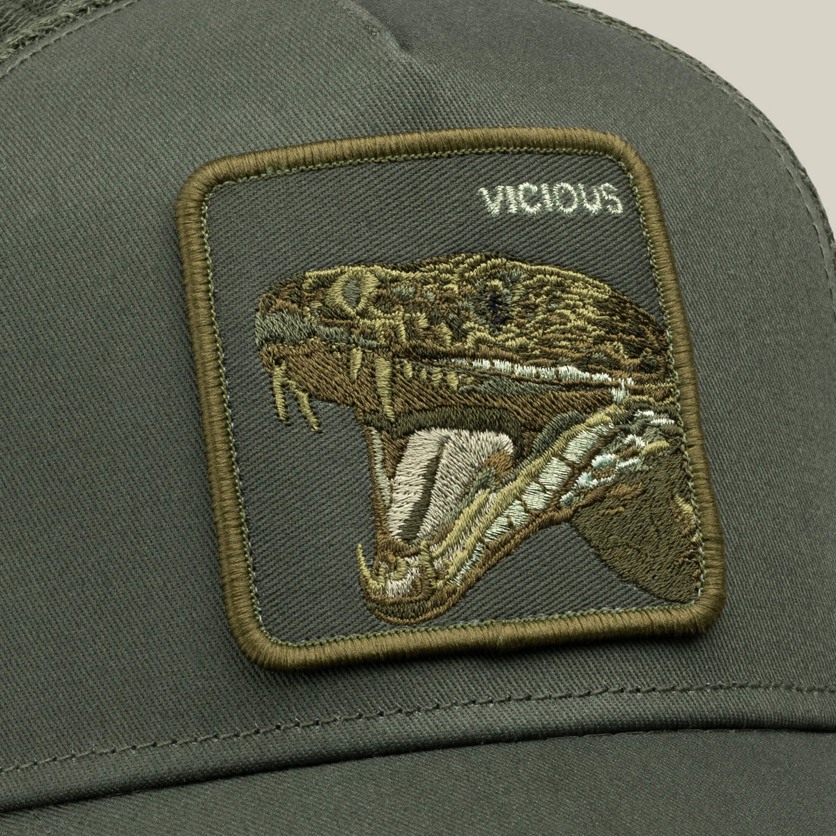 Goorin Bros. Top Pick | Circle of Life - Vicious Palm