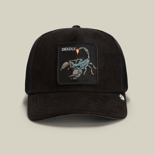 Goorin Bros. Popular | Suede Scorpion Void