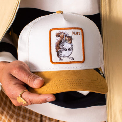 Goorin Bros. Top Pick | Suede Squirrel DUST / AMBER