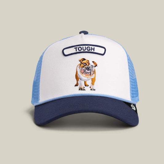 Goorin Bros. Popular | Pop Rocker Bulldog Dust / Galactic