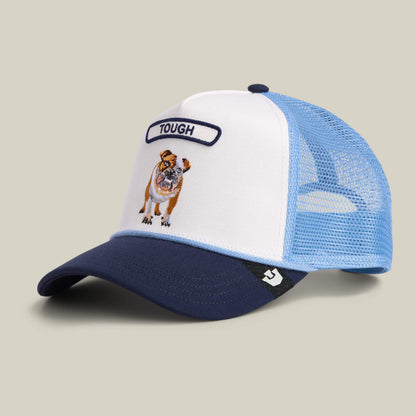 Goorin Bros. Popular | Pop Rocker Bulldog Dust / Galactic