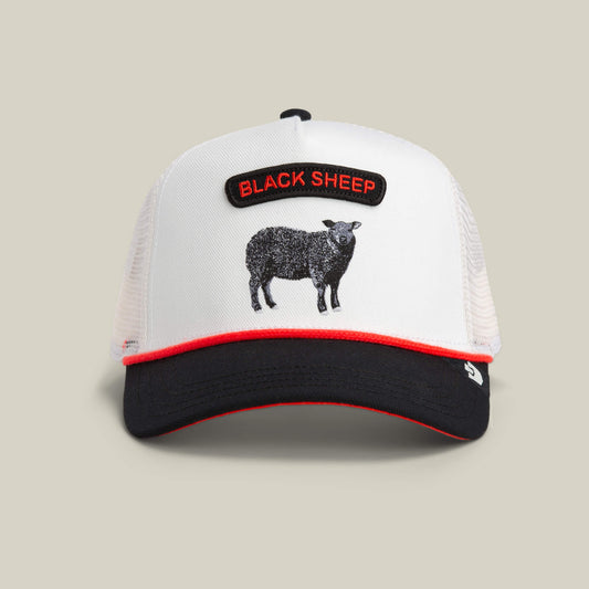 Goorin Bros. Classic | Pop Rocker Sheep Blank