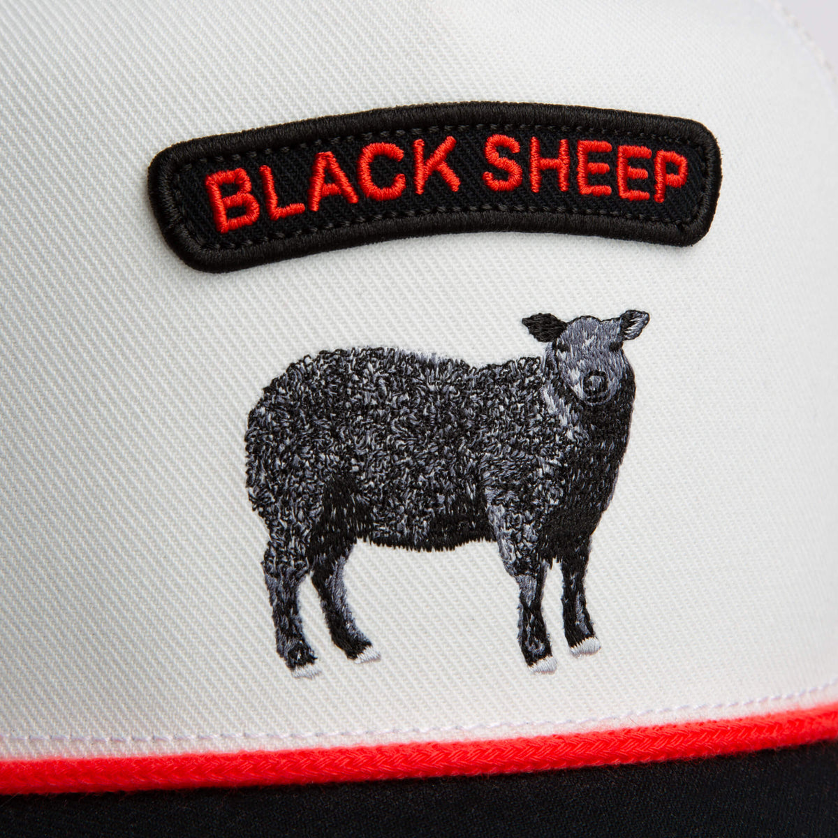Goorin Bros. Classic | Pop Rocker Sheep Blank