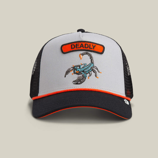 Goorin Bros. Top Pick | Pop Rocker Scorpion Gloss