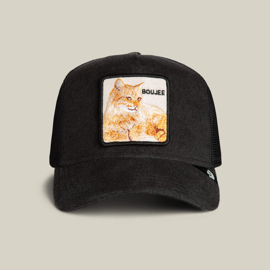 Goorin Bros. Featured | Terry Cloth Cat VOID