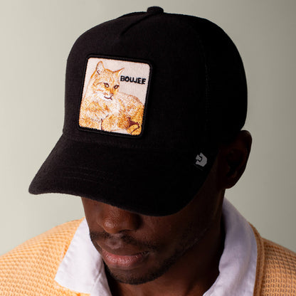 Goorin Bros. Featured | Terry Cloth Cat VOID