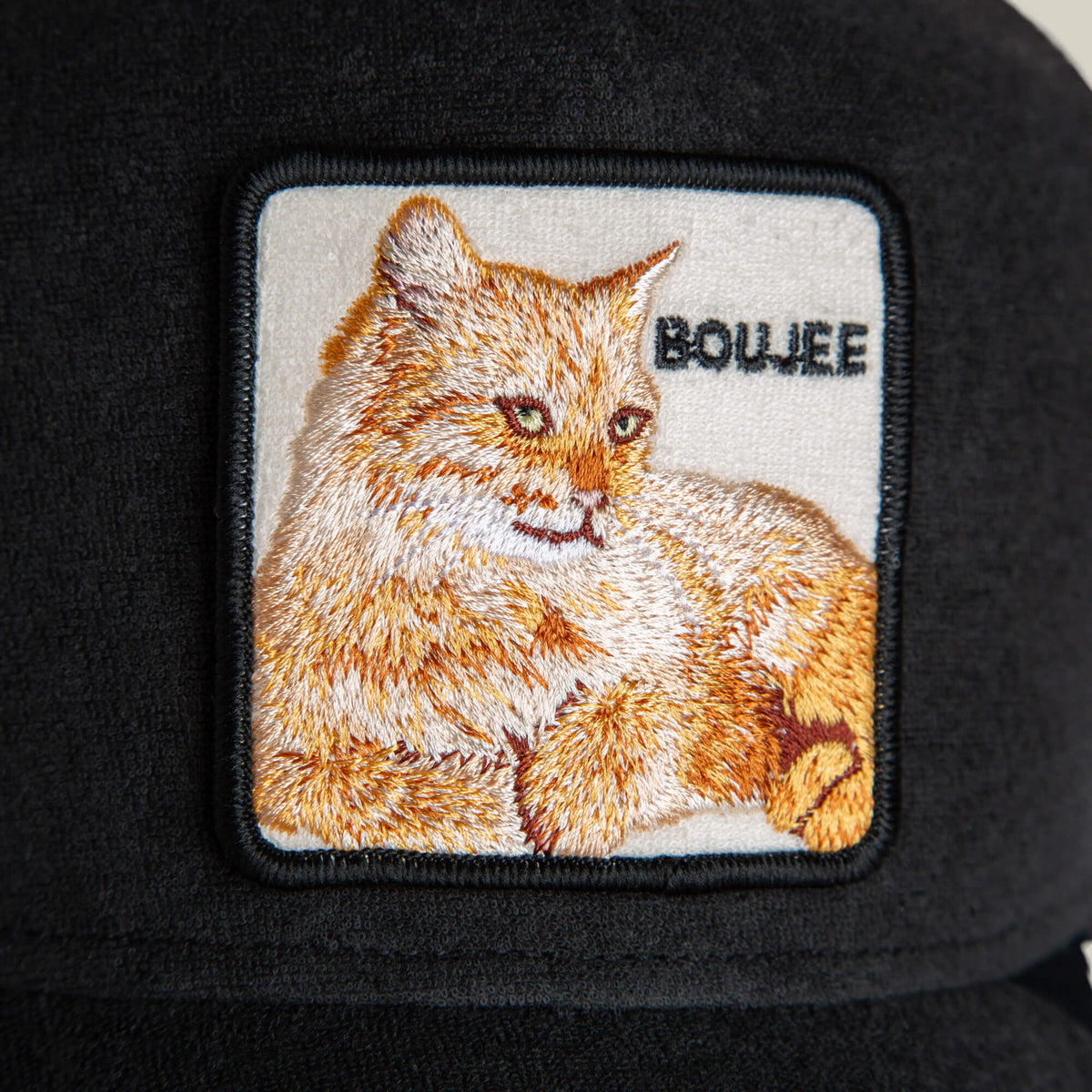 Goorin Bros. Featured | Terry Cloth Cat VOID