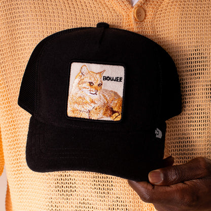 Goorin Bros. Featured | Terry Cloth Cat VOID