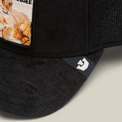 Goorin Bros. Featured | Terry Cloth Cat VOID