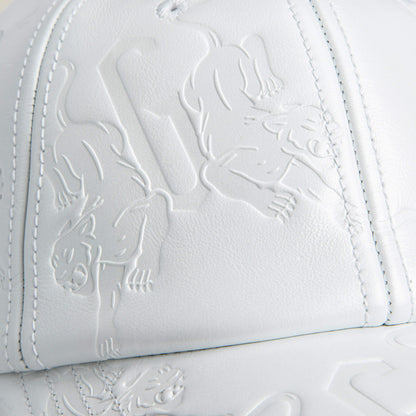 Goorin Bros. Hot Sale | Put a Panther On It BLANK