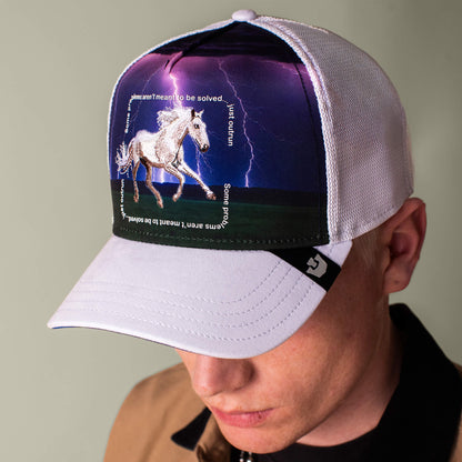 Goorin Bros. Sale | Through the Storm - Horse BLANK