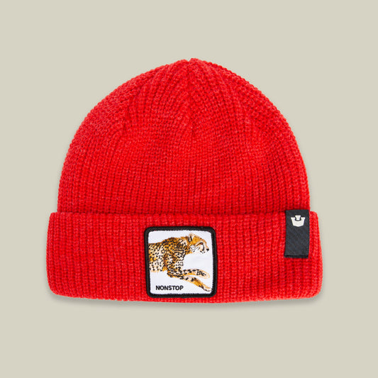 Goorin Bros. Value | The Nonstop Beanie RUSH