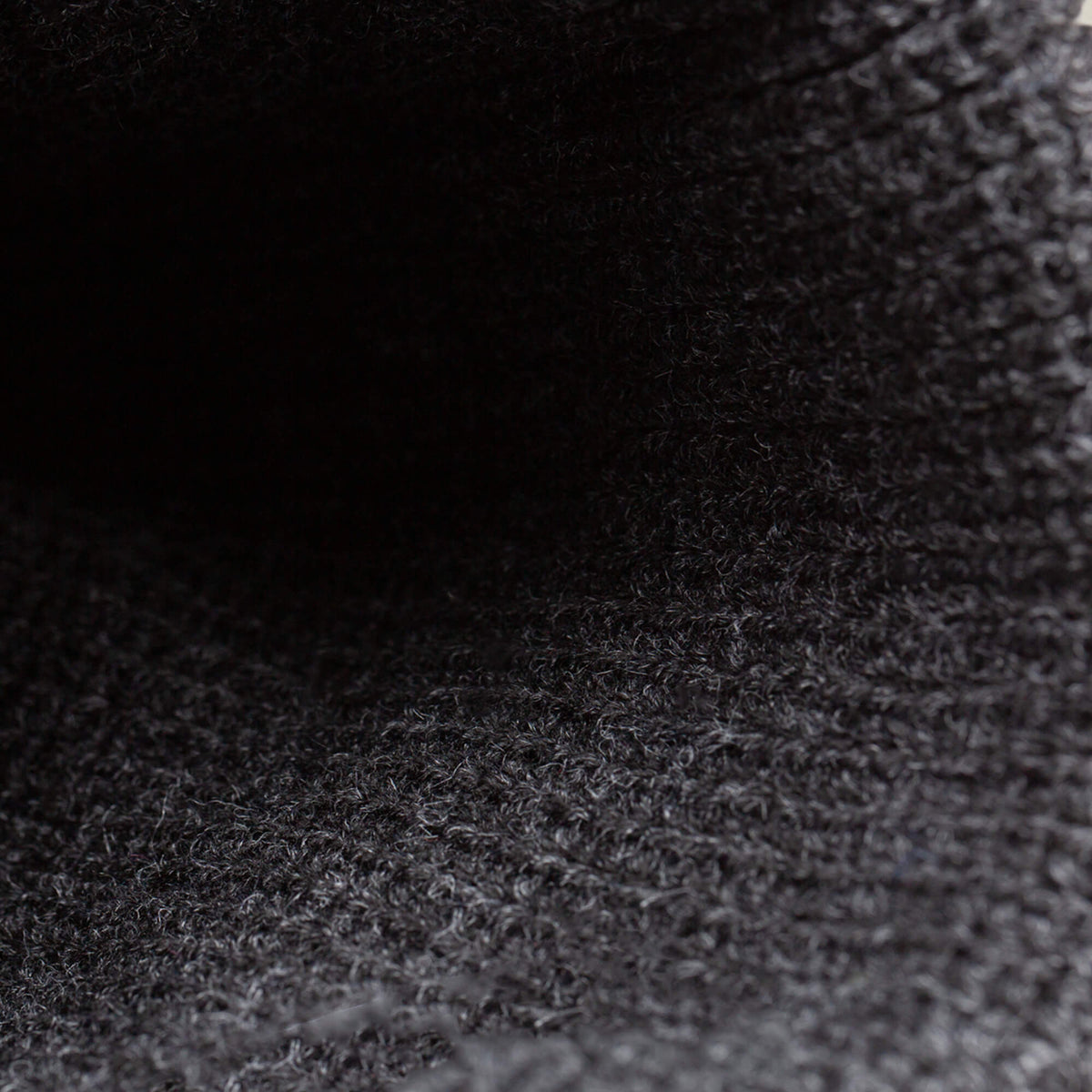 Goorin Bros. Customer Favorite | The Lion Beanie VOID